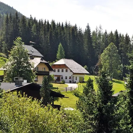 Haus Heinke Apartment Bad Kleinkirchheim